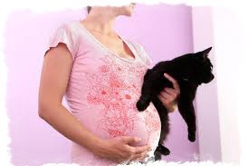 беременная с кошкой