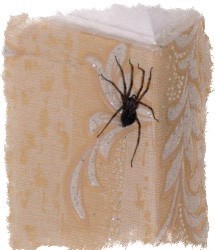 к чему в доме появляются пауки приметы