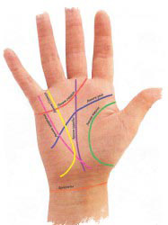 что означают линии на руке