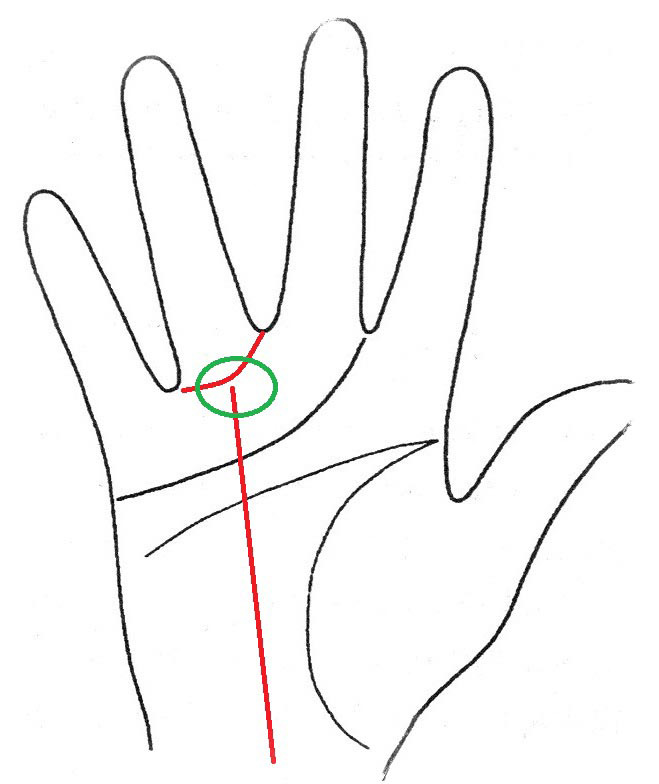 Где проходит линия жизни на ладони рисунок