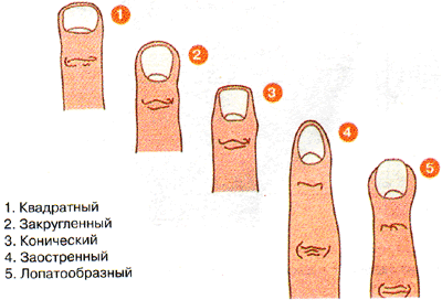тест про характер на пальцах