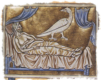 Каладриус — волшебная птица, предсказывающая смерть или исцеление